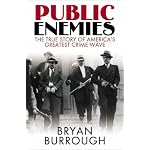 Public Enemies book cover