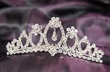 Beautiful Bridal Wedding Tiara Crown with Crystal Leaf Party Accessories C16209