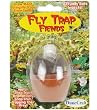 Micro-Terrariums - Fly Trap Fiends Micro-Terrariums - Fly Trap Fiends