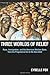 Three Worlds of Relief: Race, Immigration, and the American Welfare State from the Progressive Era to the New Deal (Princeton Studies in American Politics)