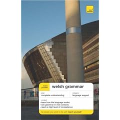 Teach Yourself Welsh Grammar (TY Complete Grammar)