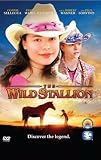 The Wild Stallion