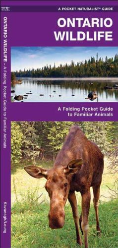 Ontario Wildlife: A Folding Pocket Guide to Familiar Species (Pocket Naturalist Guide Series)
