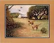 Yellow Labrador Retrievers (Animals) Art Print Poster - 16x20