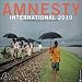 Amnesty International 2010 Wall Calendar