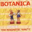 The Magnetic Waltz