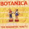 The Magnetic Waltz