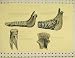 C1845 Anatomy Horse Dentition Incisory Teeth Molar