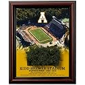 Appalachian State Mountaineers 14'' x 17'' Game-Used Turf Plaque