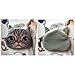 HuaYang Fantastic Cartoon Cat Head Shape Wallet Coins Purse Holder Pouch(Light Grey Meow)