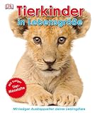 Produkt-Bild: Tierkinder in Lebensgr&ouml;&szlig;e: Mit riesigen Ausklappseiten deiner Lieblingstiere & Tiermesslatte