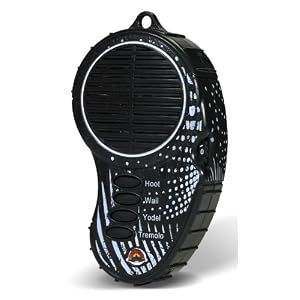 Cass Creek Loon Call by 