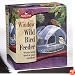 Perky Pet 348 Wild Bird Window Feeder