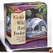 Perky Pet 348 Wild Bird Window Feeder