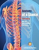 Anatomy at a glance