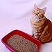 Next Gen Pet Green Tea Fresh Cat Litter 5 Pound Bag