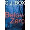 *TEN RECENT NOVELS READ - JULY 2009