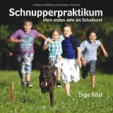 Schnupperpraktikum: Mein erstes Jahr als Schulhund