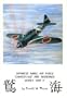 Japanese Naval Air Force Camouflage and Markings, World War II