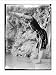 Newswire Photo (M): Miss Helen Foulds ready to dive into water