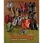Sociology (Sociology (McGraw-Hill))
