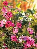 Colour in the garden