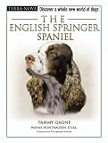 The English Springer Spaniel (Terra Nova Series)