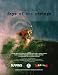 Days of the Strange Surf DVD by Taylor Steele