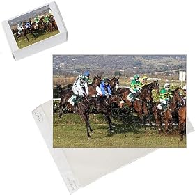 Photo Jigsaw Puzzle of Horse Racing - 2010 Cheltenham Festival - Day One from PA Photos