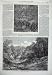 1869 New Zealand Bush Kauminga Creek Wairarapa Fine Art