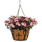 IMAGE OF Deer Park BA211 Finial Hanging Basket with Cocoa Moss Liner