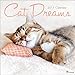 TF Publishing 2017 Cat Dreams Wall Calendar (17-1021)