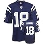Peyton Manning Youth Jersey: Reebok Blue Replica #18 Indianapolis Colts Jersey