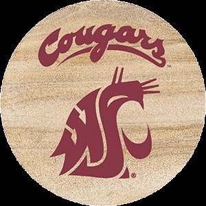 Thirstystone Natural Sandstone Set of 4 Coasters Washington State