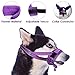 SlowTon Nylon Dog Muzzle, Dog Mouth Cover Adjustable Soft Padded Quick Fit Comfortable Muzzles for Medium Large Dog Outdoor Anti Biting Behavior Training Stop Chewing Barking Attach to Collar (M, PU)