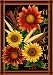 Sunflower Welcome House Flag
