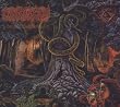 Serpent Temptation