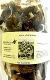 OliveNation Morel Mushrooms 2 oz.