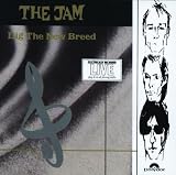 Dig the New Breed