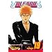 Bleach, Vol. 19