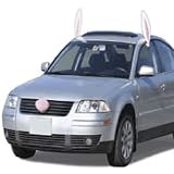 Easter Car Costume