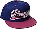 PUMA Men's Script City Snapback Hat