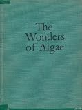 The Wonders of Algae
