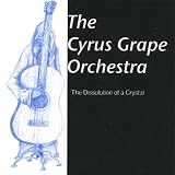 The Dissolution of a Crystal