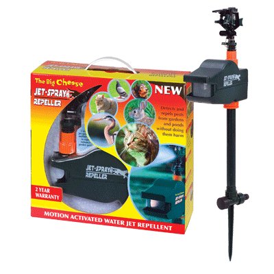 City Travel Guides Discounted  Outdoor Living : Solar Powered Mole Repeller