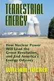 Terrestrial Energy