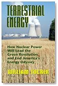 Terrestrial Energy: How Nuclear Energy Will Lead the Green Revolution and End America's Energy Odyssey