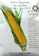 Organic Sweet Corn Seeds Spring Treat 35 Seeds