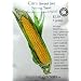 Organic Sweet Corn Seeds Spring Treat