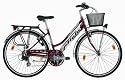 Atala Discovery Trekkingrad Damen 21-Gang